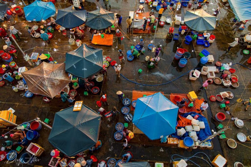 Thanh Ha Fish Market